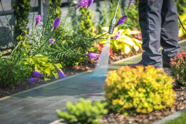 Best Building Exterior Pressure Washing in Wingdale, NY